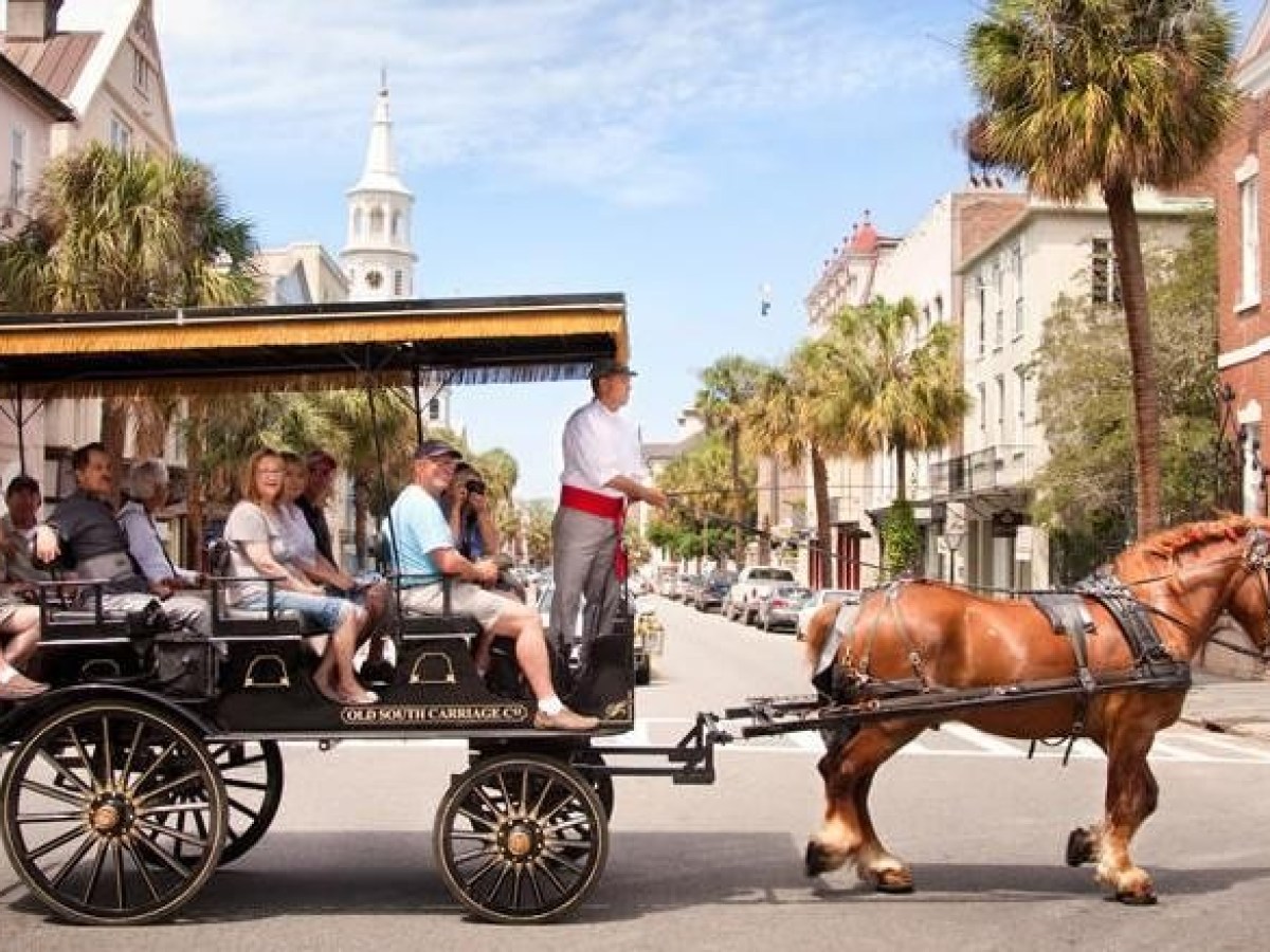 a man riding a horse drawn carriage on a city street